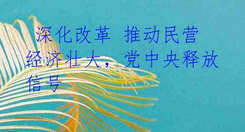  深化改革 推动民营经济壮大，党中央释放信号 