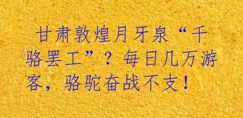  甘肃敦煌月牙泉“千骆罢工”？每日几万游客，骆驼奋战不支！ 