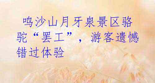 鸣沙山月牙泉景区骆驼“罢工”,游客遗憾错过体验