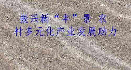 振兴新“丰”景 农村多元化产业发展助力