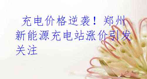 充电价格逆袭!郑州新能源充电站涨价引发关注