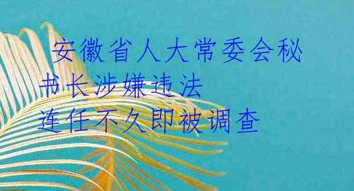  安徽省人大常委会秘书长涉嫌违法 连任不久即被调查 