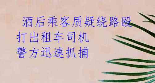  酒后乘客质疑绕路殴打出租车司机 警方迅速抓捕 