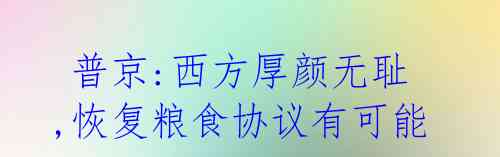 普京:西方厚颜无耻,恢复粮食协议有可能.