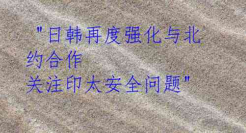 "日韩再度强化与北约合作 关注印太安全问题"