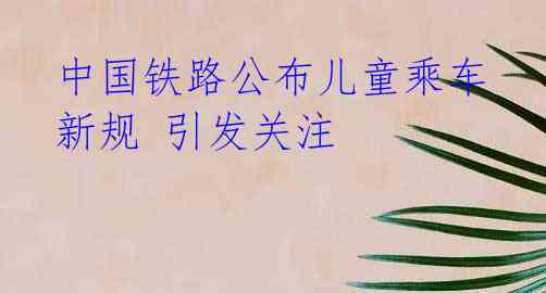 中国铁路公布儿童乘车新规 引发关注