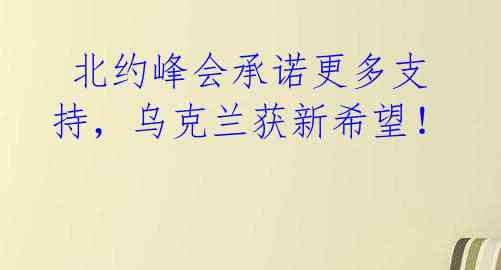 北约峰会承诺更多支持,乌克兰获新希望!