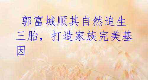 郭富城顺其自然追生三胎,打造家族完美基因