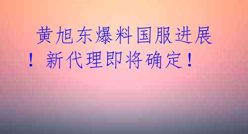 黄旭东爆料国服进展!新代理即将确定!