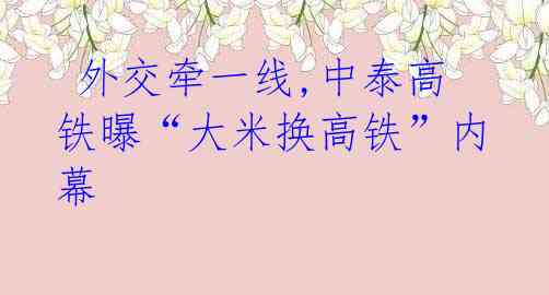 外交牵一线,中泰高铁曝“大米换高铁”内幕