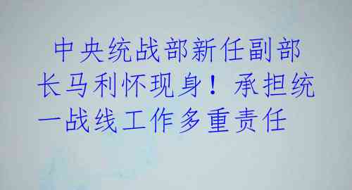中央统战部新任副部长马利怀现身!承担统一战线工作多重责任
