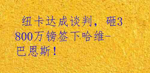  纽卡达成谈判，砸3800万镑签下哈维-巴恩斯！ 