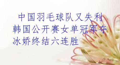 中国羽毛球队又失利 韩国公开赛女单冠军夺冰娇终结六连胜