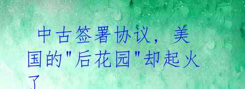 中古签署协议, 美国的"后花园"却起火了