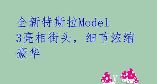 全新特斯拉Model 3亮相街头,细节浓缩豪华