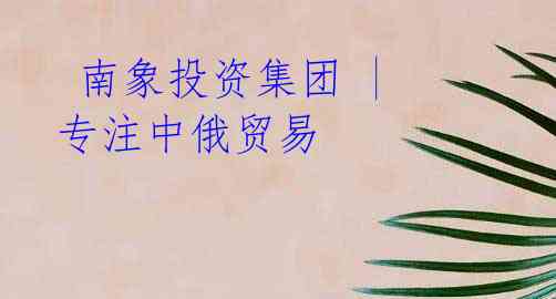 南象投资集团 | 专注中俄贸易