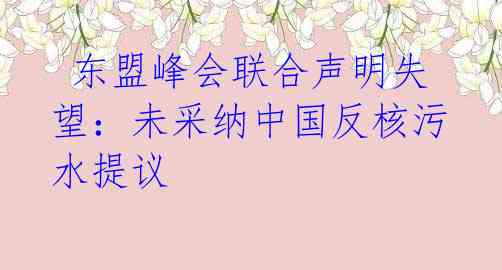 东盟峰会联合声明失望:未采纳中国反核污水提议