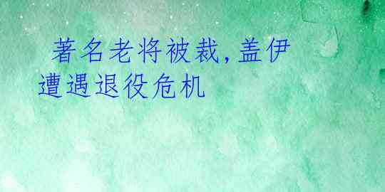 著名老将被裁,盖伊遭遇退役危机