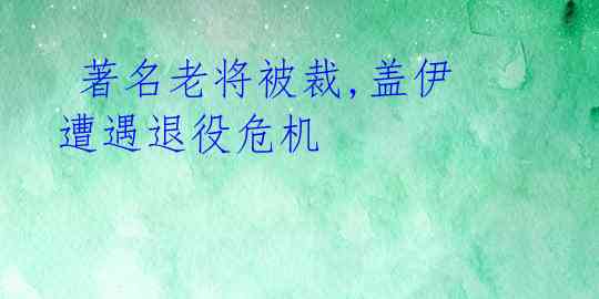  著名老将被裁,盖伊遭遇退役危机 