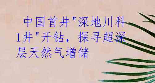 中国首井"深地川科1井"开钻,探寻超深层天然气增储