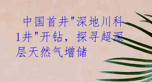  中国首井"深地川科1井"开钻，探寻超深层天然气增储 