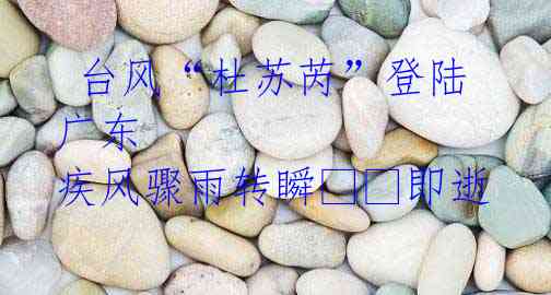 台风“杜苏芮”登陆广东 疾风骤雨转瞬??即逝