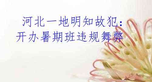 河北一地明知故犯:开办暑期班违规舞弊