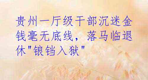 贵州一厅级干部沉迷金钱毫无底线,落马临退休"锒铛入狱"