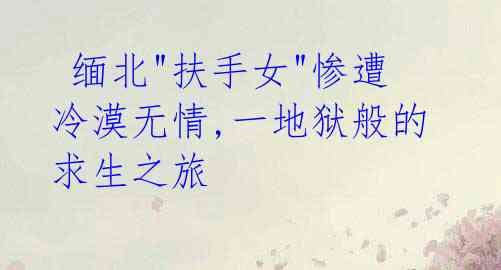 缅北"扶手女"惨遭冷漠无情,一地狱般的求生之旅