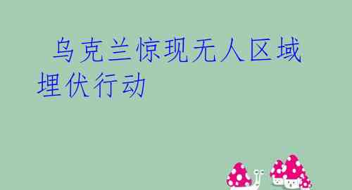 乌克兰惊现无人区域埋伏行动