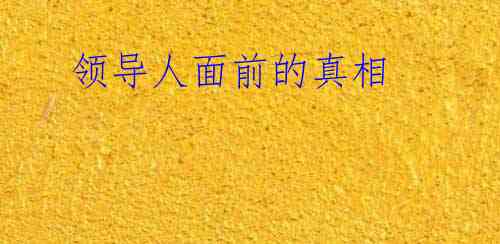 领导人面前的真相