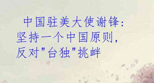 中国驻美大使谢锋: 坚持一个中国原则, 反对"台独"挑衅