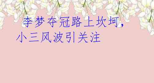 李梦夺冠路上坎坷,小三风波引关注