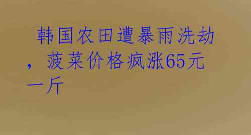  韩国农田遭暴雨洗劫，菠菜价格疯涨65元一斤 