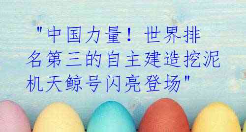 "中国力量!世界排名第三的自主建造挖泥机天鲸号闪亮登场"