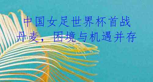 中国女足世界杯首战丹麦,困境与机遇并存