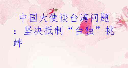 中国大使谈台湾问题:坚决抵制“台独”挑衅
