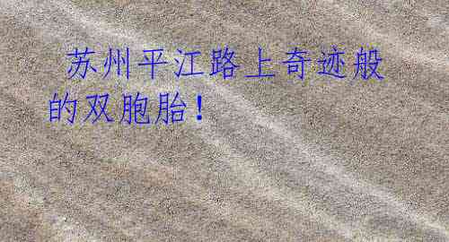 苏州平江路上奇迹般的双胞胎!