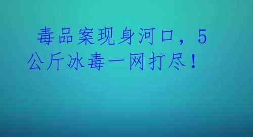  毒品案现身河口，5公斤冰毒一网打尽！ 