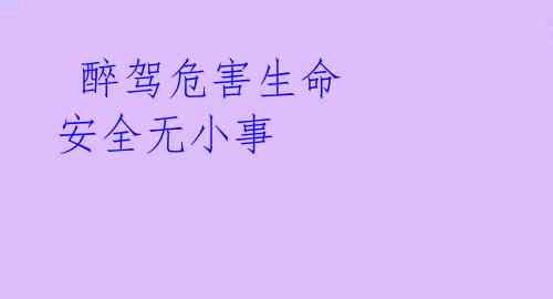  醉驾危害生命 安全无小事 