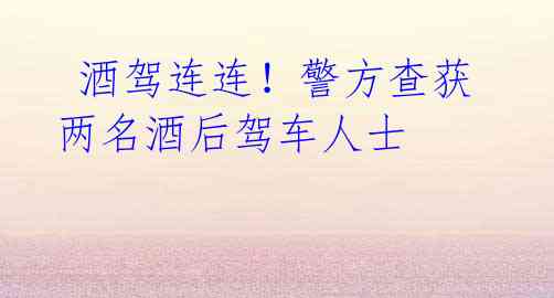 酒驾连连!警方查获两名酒后驾车人士