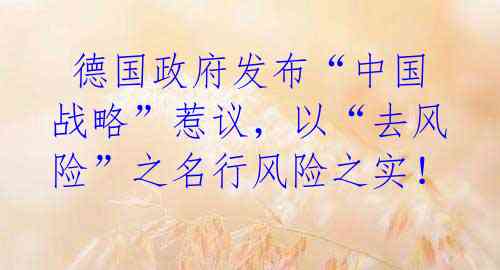 德国政府发布“中国战略”惹议,以“去风险”之名行风险之实!