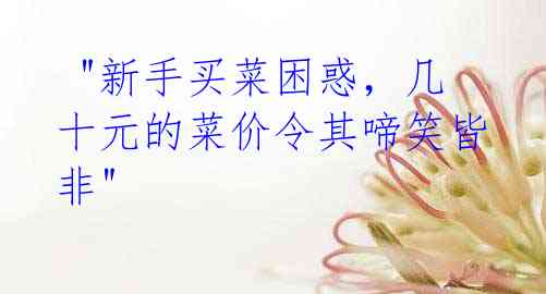 "新手买菜困惑,几十元的菜价令其啼笑皆非"