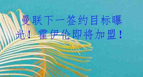 曼联下一签约目标曝光!霍伊伦即将加盟!