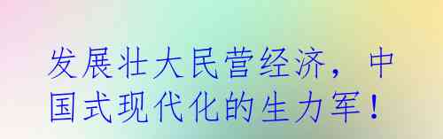 发展壮大民营经济,中国式现代化的生力军!
