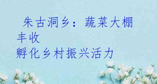  朱古洞乡：蔬菜大棚丰收 孵化乡村振兴活力 