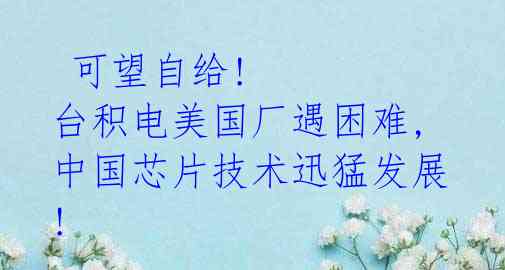 可望自给! 台积电美国厂遇困难, 中国芯片技术迅猛发展!