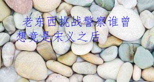 老东西挑战警察谁曾想竟是宋义之后