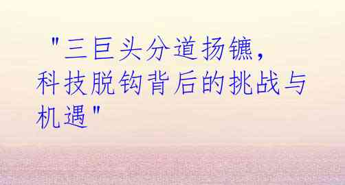 "三巨头分道扬镳,科技脱钩背后的挑战与机遇"