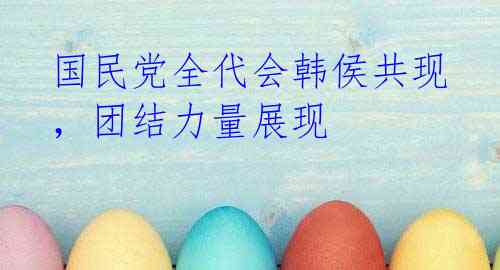 国民党全代会韩侯共现,团结力量展现